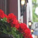 Felsenkeller Rüdesheim am Rhein