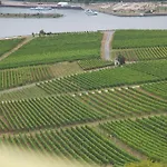 Felsenkeller 3* Rüdesheim am Rhein