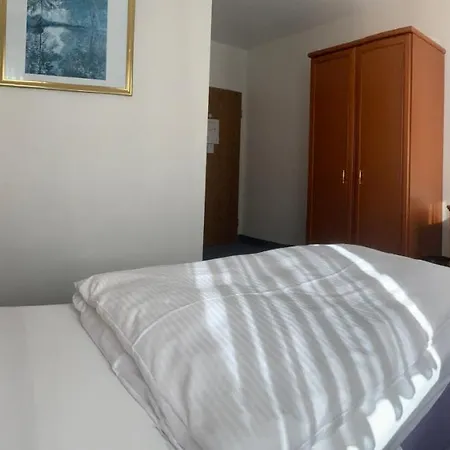 Felsenkeller 3* Ruedesheim am Rhein