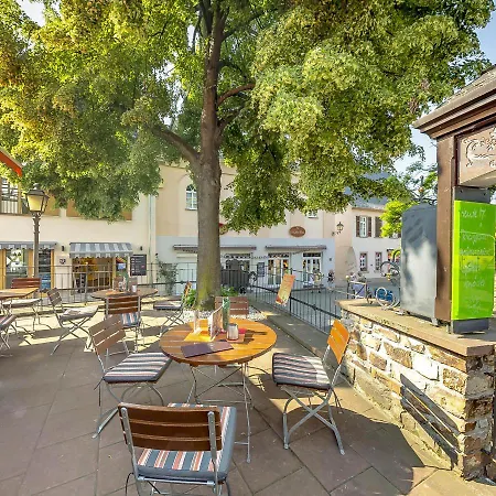 Felsenkeller 3* Rüdesheim am Rhein