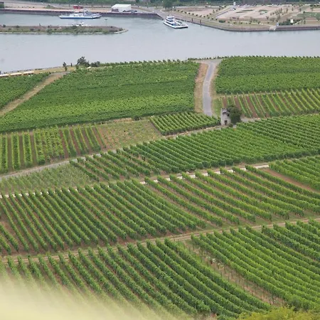 Felsenkeller 3* Rüdesheim am Rhein