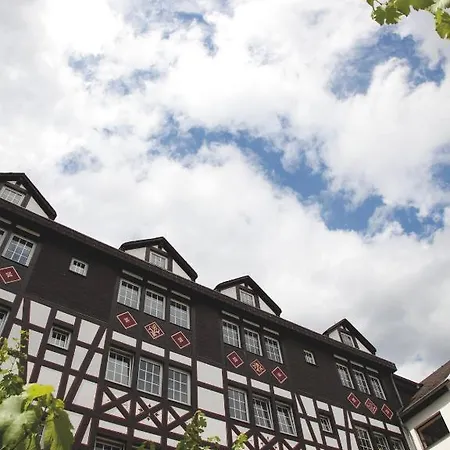 Felsenkeller 3* Ruedesheim am Rhein