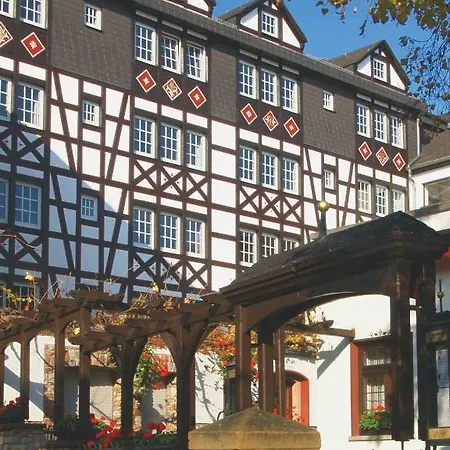 Hotel Felsenkeller Ruedesheim am Rhein