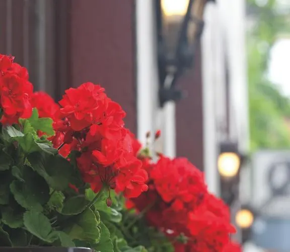 Felsenkeller Rüdesheim am Rhein
