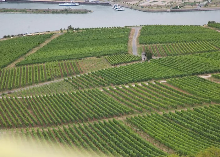 Felsenkeller 3* Rüdesheim am Rhein